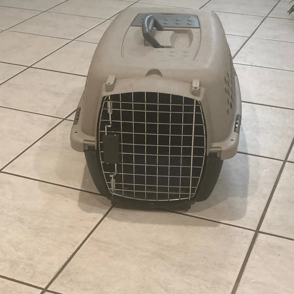 Pet Carrier for Small Pets - Gray